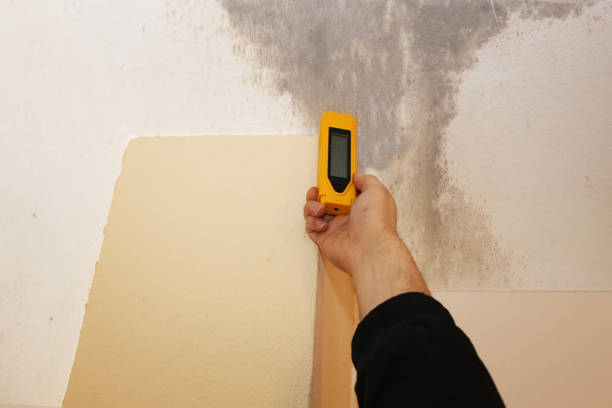Best Mold Remediation for Healthcare Facilities  in Pymatuning Central, PA