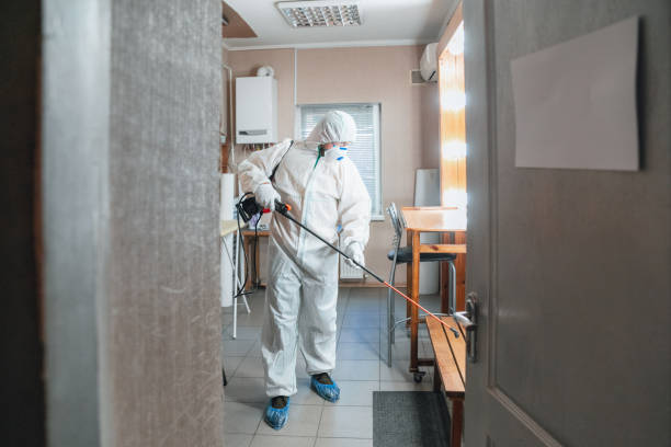 Best Water Damage & Mold Remediation  in Pymatuning Central, PA