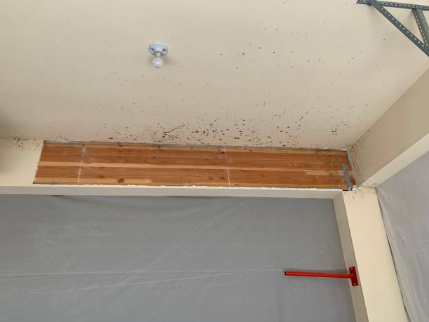 Best Mold Documentation for Insurance Claims  in Pymatuning Central, PA