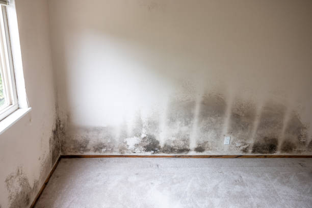 Best Biohazard Mold Removal  in Pymatuning Central, PA