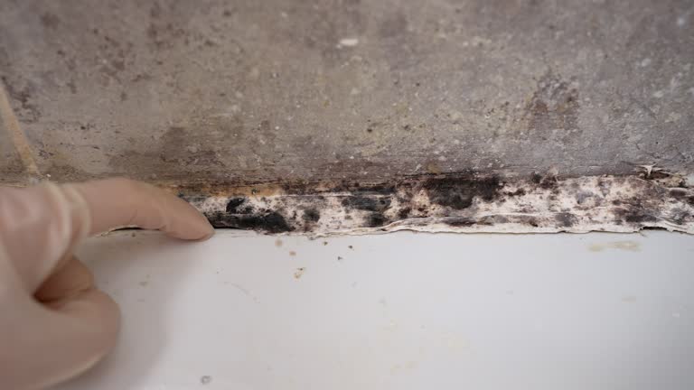 Best Post-Construction Mold Inspection  in Pymatuning Central, PA